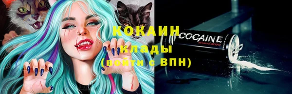 амф Горняк