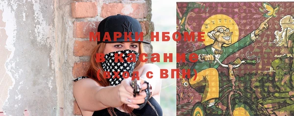 амф Горняк