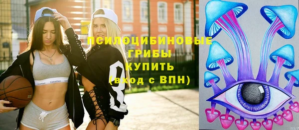 амф Горняк
