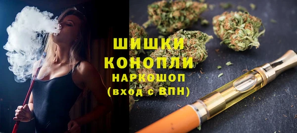 амф Горняк