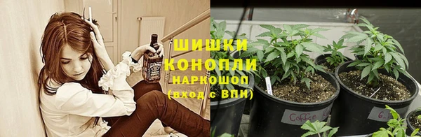 амф Горняк