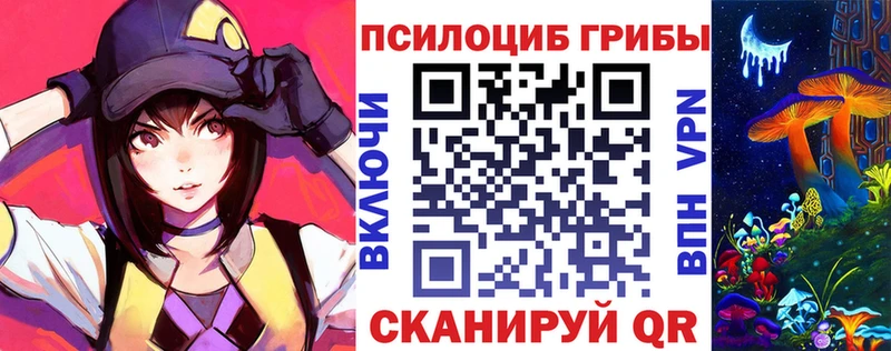 Псилоцибиновые грибы Cubensis  Мценск 