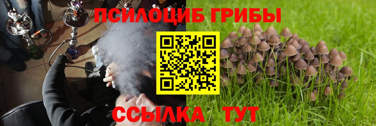 Галлюциногенные грибы мицелий  Галлюциногенные грибы мухоморы  Мценск  как найти наркотики  Вход с VPN 